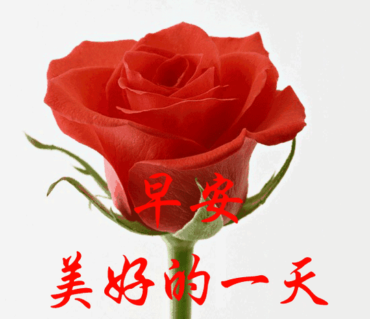 最新版早上问候动态表情图片早安问候动态图片带字