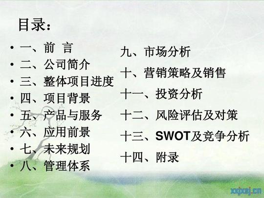 校内影楼创业计划ppt
