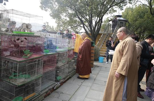 浙江宁波慧日禅寺于观音圣诞举行剃度,普佛,放生,供灯