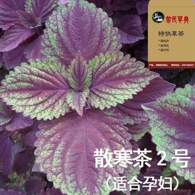 宝宝感染风寒了吃什么药