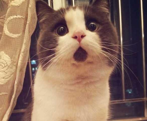 和患白癜风的人共用毛巾会传染吗