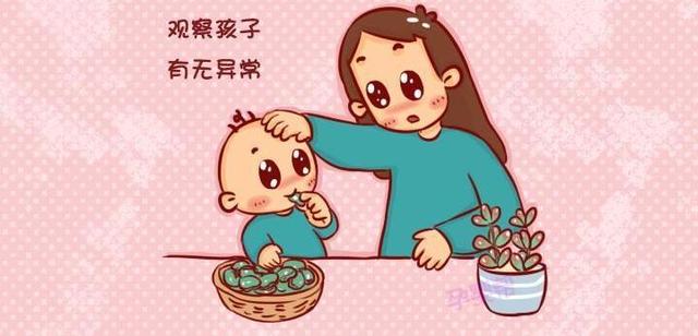 蚕豆病传男不传女吗?