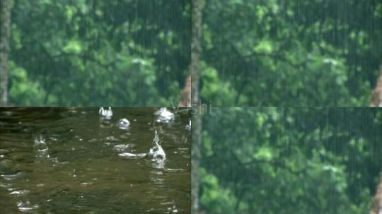 森林水面下雨视频素材_树林雨水滴落水中