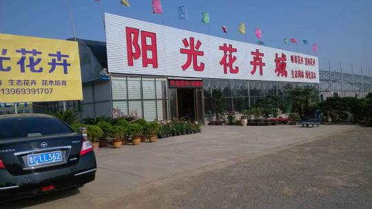 创业人物|淄博市下岗失业人员再就业贷款担保中心