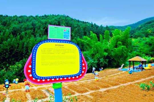 最适合元旦1日游的亲子圣地,抖音点赞100w+网红项目玩