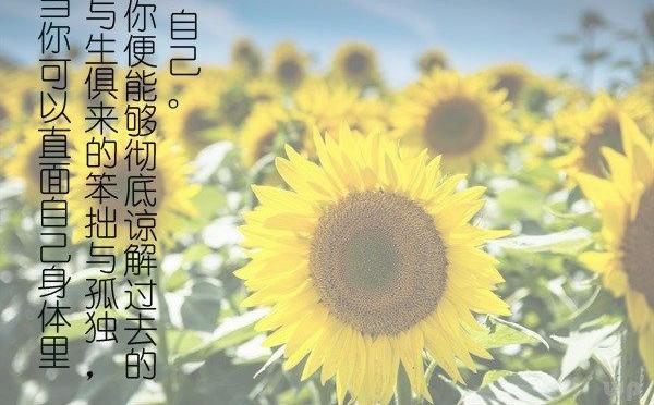 2020感悟人生的说说心情,说说心情人生感悟句子霸气?