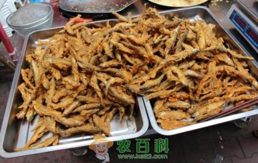 农村母女到城市摆摊月入2万，竟只靠自制这种稀罕物，你吃过吗?