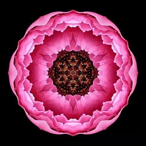 宇宙能量之花,唤醒你内心的力量