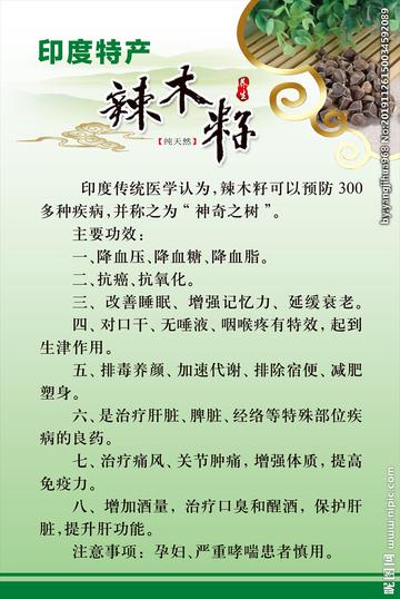 辣木网站的长尾关键词是什么