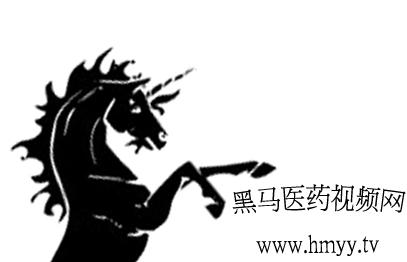 黑马视频招商网的logo设计z**投标-猪八戒网