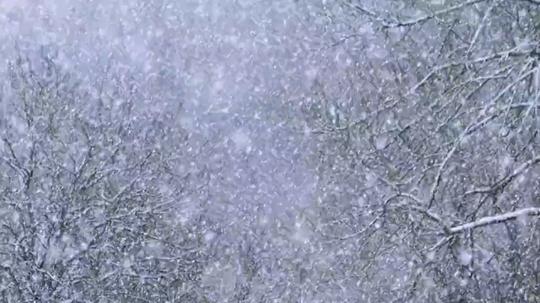 听说下雪天和此生不换更配哦!
