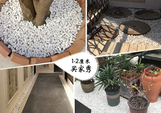 热卖小白石子大鹅卵石多肉铺面白色石头花盆庭院装饰鹅暖石盆栽鹅软石