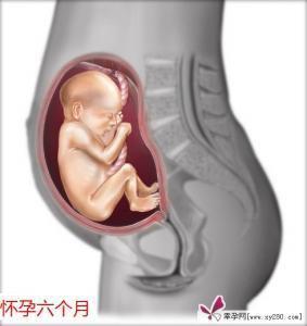 孕妇怀孕六个月注意事项