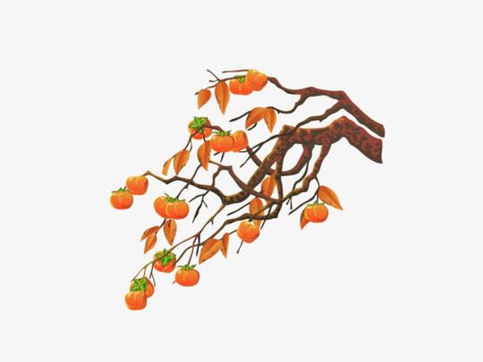 柿子树卡通矢量素材