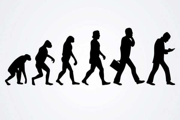 人类进化的六个阶段图(人为什么会有长大衰老去世的过程)