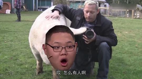 【鬼畜】各大游戏主播的鬼畜视频，看完保证你会笑!