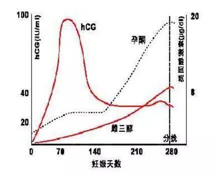 HCG的变化可能说明什么问题