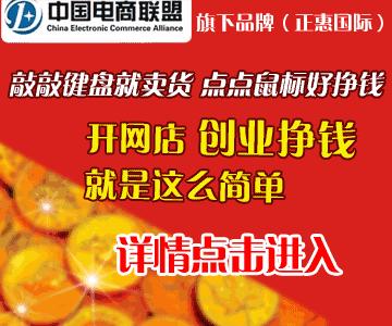 网上创业项目加盟网店加盟正惠国际赚大钱