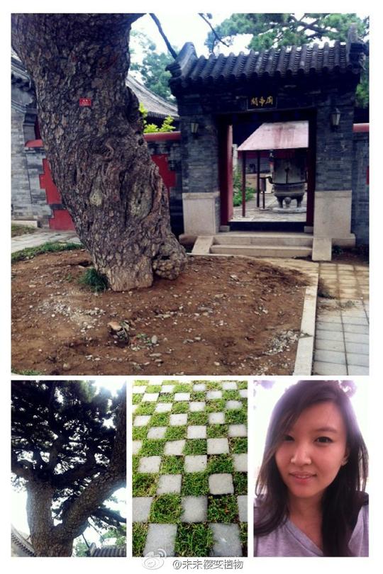 我说好,我就住这庙里,你做生意去,我在这儿看庙,写故事.