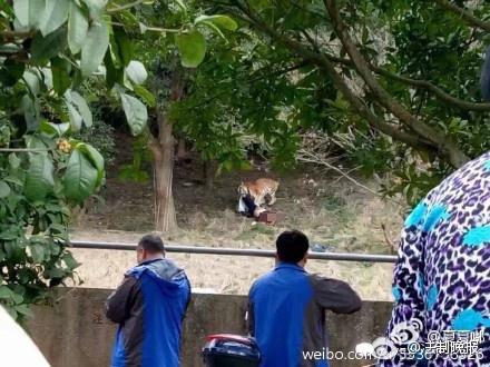 两岁半入园和三岁入园有啥区别