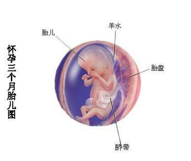 怀孕最后一个月要注意些什么