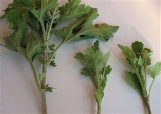 宝宝夏季出游注意事项