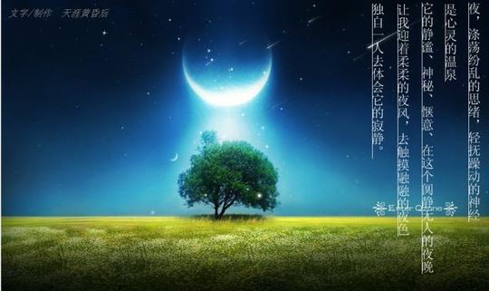 夜:以一种静寂的脚步来到我的身边.