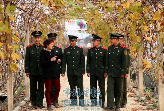 合肥退伍老兵学习各种专业技术回乡创业学以致用