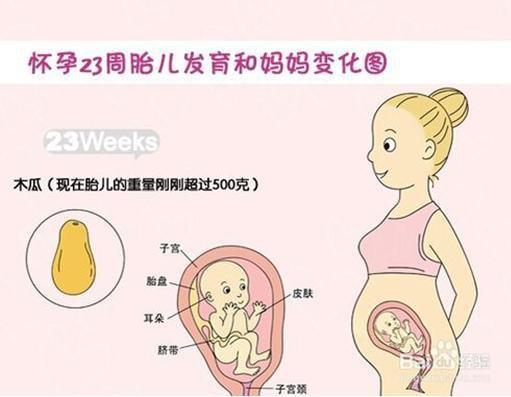 胎儿臀位纠正不过来怎么办