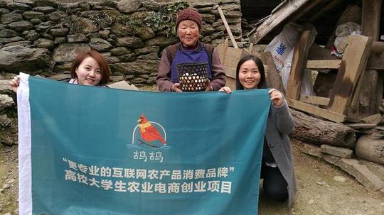 鸪鸪鸟生态农业创业团队:我是农村大学生我为
