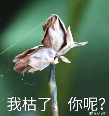 你懂的可爱搞笑表情包