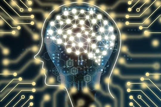 脑科学教育--提升国人专注力和创造力