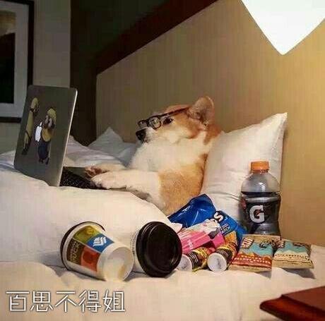 休息的时候就是要酱子-搞笑图片-后花园网文