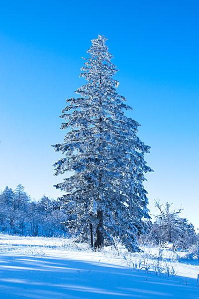 吉林北大壶滑雪场_图片大全—全景创意图库（quanjing.com）中国领先的正版图片视频素材网站