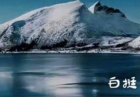 你从未离去(白挺)