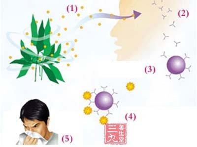 秋季宝宝过敏性鼻炎高发