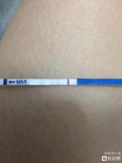 2019年9月28日受孕什么时候生