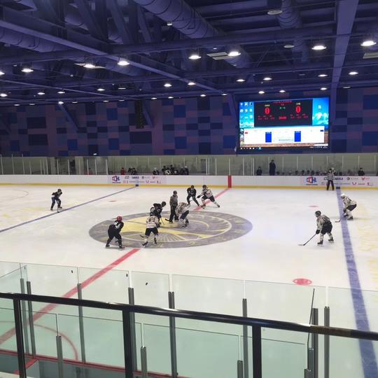 获200万元天使投资，gohockey要挖掘成人冰球培训市场潜力|创业熊