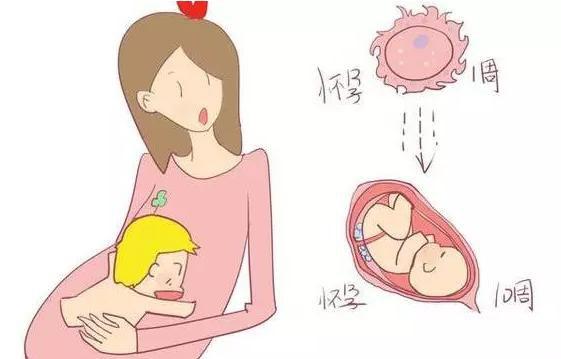 怀孕早期肚子疼是怎么回事