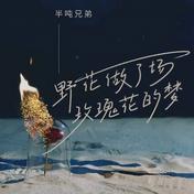野花做了场玫瑰花的梦(半吨兄弟)