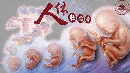 超星尔雅知识论导论:我们能知道什么?答案大全