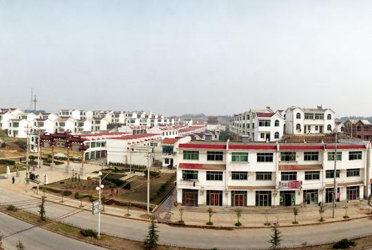 团铜陵市郊区委