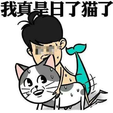我真是日了狗了搞笑表情包