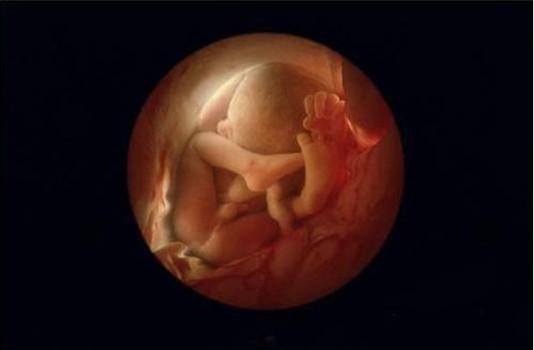 怀孕反应越大说明胎儿发育的好
