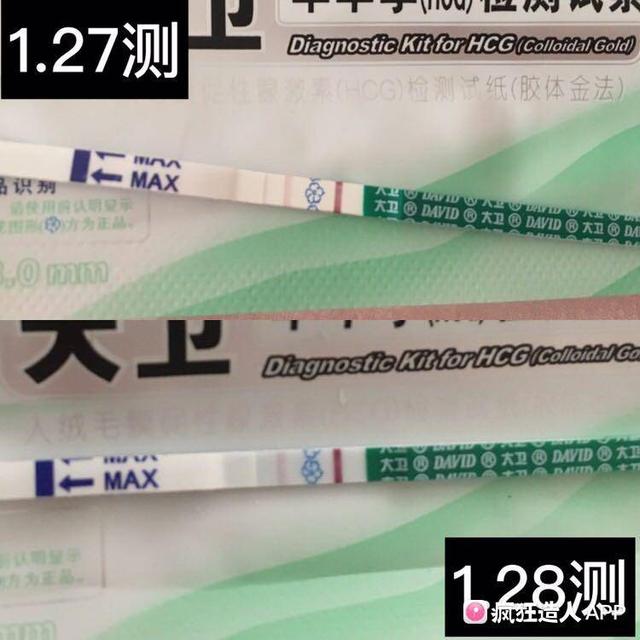 试管婴儿养囊胚是什么意思