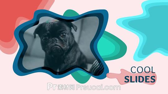 pr模板可爱宠物店铺彩色宣传短视频pr模板下载-pr素材网