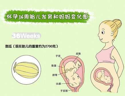 新生儿出生第二周奶量