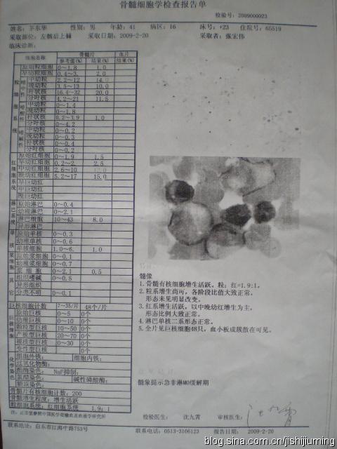 婴儿血常规检查怎么看懂化验单