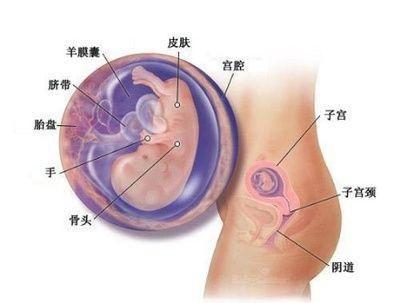 小孩子吃手指肚子痛