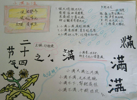 小满手抄报简单又漂亮大全